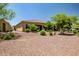 Desert landscaped backyard featuring desert shrubs, mature trees and large boulder accents at 16426 W Piccadilly Rd, Goodyear, AZ 85395
