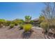 Expansive backyard featuring desert landscaping and a wrought iron fence at 26333 W Vista North Dr, Buckeye, AZ 85396