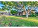 Charming home featuring a mature shade tree with a playful tree swing in a lush front yard at 803 W 18Th St, Tempe, AZ 85281