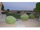 Green backyard with well-manicured desert landscaping and a walking path at 11290 N 117Th St, Scottsdale, AZ 85259