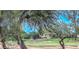 Beautiful golf course view framed by lush trees, showcasing the community's green space at 1212 S Boulder St # C, Gilbert, AZ 85296