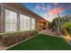 Stunning backyard at sunset, featuring green grass, a covered patio, and desert landscaping at 1771 E Alegria Rd, Queen Creek, AZ 85140