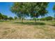 Expansive community field featuring lush greenery and mature trees at 1836 N 77Th Gln, Phoenix, AZ 85035