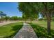 Scenic community path lined with green grass and mature trees, perfect for a leisurely stroll or active walk at 1836 N 77Th Gln, Phoenix, AZ 85035