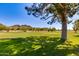 Picturesque view of the nearby golf course with mature shade trees at 3038 E Stella Ln, Phoenix, AZ 85016