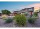 Lush backyard showcasing a fire pit, a patio, green artificial turf, desert plants, and beautiful architectural details at 32359 N 129Th Dr, Peoria, AZ 85383