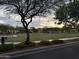 Scenic view of a community park with a basketball court and green spaces for outdoor activities at 3765 N Denny Way, Buckeye, AZ 85396