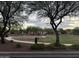 Neighborhood park with lush green space and amenities for outdoor recreation and community gatherings at 3765 N Denny Way, Buckeye, AZ 85396