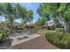 Expansive backyard view featuring mature trees, lush landscaping, and a gazebo for outdoor gatherings at 5733 E Jaeger St, Mesa, AZ 85205