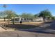 A single-story home featuring desert landscaping, mature trees, and a low privacy wall at 7044 E Ann Way, Scottsdale, AZ 85254
