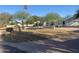 A single-story home featuring desert landscaping, mature trees, and a low privacy wall at 7044 E Ann Way, Scottsdale, AZ 85254