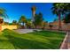 Spacious backyard featuring a basketball court, lush green lawn, and mature palm trees at 882 N Concord Ave, Chandler, AZ 85225