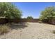 Fully enclosed xeriscaped backyard featuring mature trees and a privacy wall at 2011 W Burgess Ln, Phoenix, AZ 85041