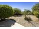 Low maintenance, xeriscaped backyard featuring mature trees and privacy wall at 2011 W Burgess Ln, Phoenix, AZ 85041