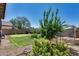 Well-maintained backyard featuring a putting green, fruit trees, and serene outdoor living space at 2531 W Saint Catherine Ave, Phoenix, AZ 85041