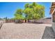 A spacious backyard featuring decorative gravel, a wood gate, a storage shed, and block wall fencing at 3444 E Paradise Dr, Phoenix, AZ 85028