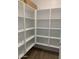 Walk-in pantry with ample shelving provides plenty of storage space at 4930 W Brown St, Glendale, AZ 85302