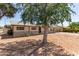 Charming single-story home with stone accents, mature trees and a covered carport at 501 W Dublin St, Chandler, AZ 85225