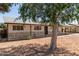 Charming single-story home with stone accents, mature trees and a covered carport at 501 W Dublin St, Chandler, AZ 85225