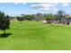 Community volleyball court on green lawn with lush landscaping and mountain views in the distance at 5724 E Scarlet St, Mesa, AZ 85215