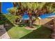 Lush backyard with mature trees, a fountain, and well-manicured landscaping at 10529 E Posada Ave, Mesa, AZ 85212