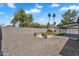 Expansive backyard featuring gravel, a stone patio, desert plants, and a well-kept lawn at 13224 N 31St Pl, Phoenix, AZ 85032