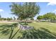 Community park featuring horseshoe pit surrounded by lush green grass and shade trees at 1449 W Sherri Dr, Gilbert, AZ 85233