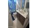 Cozy bathroom with a dolphin-themed shower curtain, sink, and vanity at 16696 W Culver St, Goodyear, AZ 85338