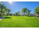 Neighborhood park with well-maintained green grass, mature trees, and walking path, perfect for recreation at 17560 W Young St, Surprise, AZ 85388