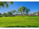 Neighborhood park with well-maintained green grass, mature trees, and beautiful landscaping at 17560 W Young St, Surprise, AZ 85388