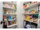 Organized pantry with shelving stocked full of food and household supplies at 17560 W Young St, Surprise, AZ 85388