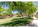 Lush green space with mature trees offering ample shade and a walkway at 2250 E Deer Valley Rd # 96, Phoenix, AZ 85024
