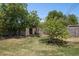 Lush backyard with mature trees and foliage, featuring a storage shed on a well-maintained lawn at 2636 N Dayton St, Phoenix, AZ 85006