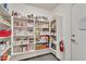 Organized walk-in pantry with abundant shelving and storage space, perfect for all your kitchen needs at 308 E Sheffield Ct, Gilbert, AZ 85296
