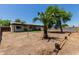 Spacious backyard with mature trees and block fencing, providing ample space for outdoor activities at 3226 W Grovers Ave, Phoenix, AZ 85053