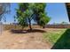 Expansive backyard featuring mature trees and a block fence, offering privacy and potential at 3226 W Grovers Ave, Phoenix, AZ 85053