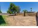 Open backyard featuring mature trees and block fencing, perfect for outdoor activities and relaxation at 3226 W Grovers Ave, Phoenix, AZ 85053