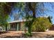 A lush green tree adds charm to this view of the home's exterior at 3226 W Grovers Ave, Phoenix, AZ 85053