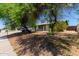 Home exterior with mature shade trees, landscaping, and a silver car parked in the driveway at 3226 W Grovers Ave, Phoenix, AZ 85053