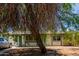 A lovely front exterior view of the home with a mature tree in the front at 3226 W Grovers Ave, Phoenix, AZ 85053