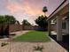 Expansive backyard featuring lush lawn area, mature palms and attractive privacy wall at 351 N Newport St, Chandler, AZ 85225