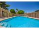 Enjoy the backyard pool with diving board perfect for summer fun at 400 W Crofton St, Chandler, AZ 85225