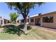 View of the backyard with mature trees and an open lawn area at 1021 S Greenfield Rd # 1211, Mesa, AZ 85206