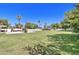 Expansive backyard featuring lush greenery and mature palm trees at 1712 E Fairfield St, Mesa, AZ 85203