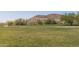 Serene open space with grassy fields, walking paths, and picturesque mountain views in the distance at 1799 N 209Th Ave, Buckeye, AZ 85396