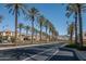 Picturesque street lined with towering palm trees, elegant homes, and scenic mountain views at 1799 N 209Th Ave, Buckeye, AZ 85396