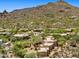 Sprawling desert home with lush greenery, nestled amidst rocky terrain, showcasing a private and scenic landscape at 2304 Fox Tail Trl, Carefree, AZ 85377