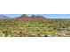 Expansive aerial view of a residential area interspersed with desert foliage and golf course fairways at 2304 Fox Tail Trl, Carefree, AZ 85377