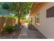 Beautiful brick walkway surrounded by mature trees and plants, creating a serene outdoor space at 2635 N El Dorado Pl, Chandler, AZ 85224