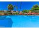 Relaxing community pool surrounded by lounge chairs and towering palm trees at 4610 N 68 N St # 476, Scottsdale, AZ 85251